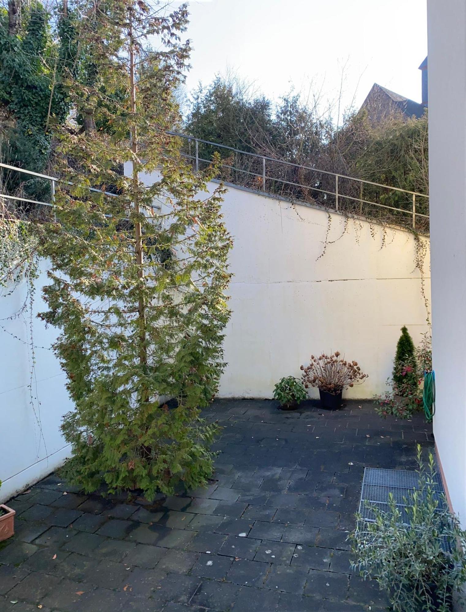 Hotel Traumblick Cochem Ruang foto